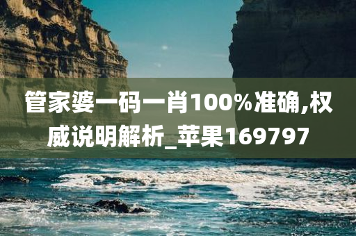 管家婆一码一肖100%准确,权威说明解析_苹果169797