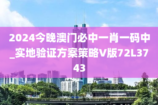 2024今晚澳门必中一肖一码中_实地验证方案策略V版72L3743