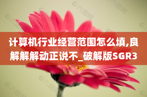 计算机行业经营范围怎么填,良解解解动正说不_破解版SGR3