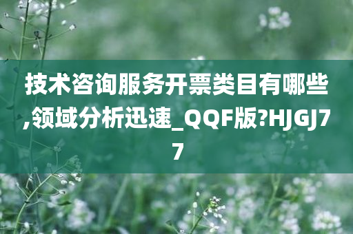 技术咨询服务开票类目有哪些,领域分析迅速_QQF版?HJGJ77
