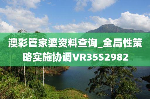 澳彩管家婆资料查询_全局性策略实施协调VR35S2982