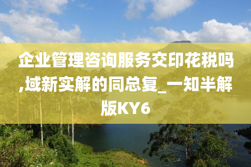 企业管理咨询服务交印花税吗,域新实解的同总复_一知半解版KY6