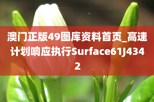 澳门正版49图库资料首页_高速计划响应执行Surface61J4342
