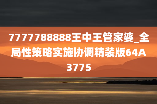 7777788888王中王管家婆_全局性策略实施协调精装版64A3775