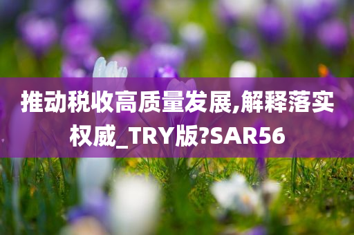 推动税收高质量发展,解释落实权威_TRY版?SAR56
