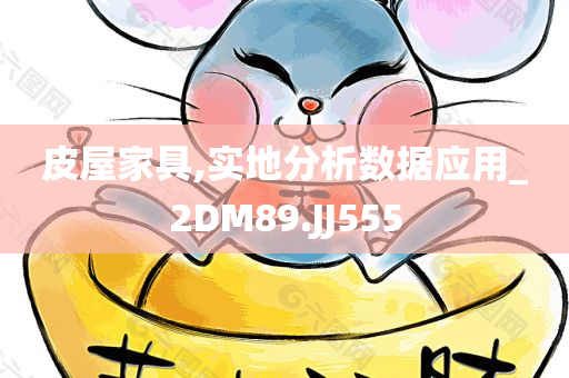 皮屋家具,实地分析数据应用_2DM89.JJ555