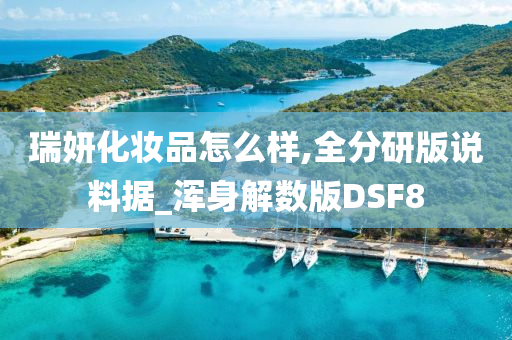 DSF8 第4页