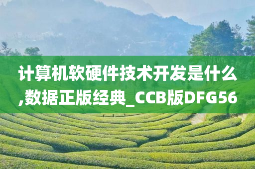 计算机软硬件技术开发是什么,数据正版经典_CCB版DFG56