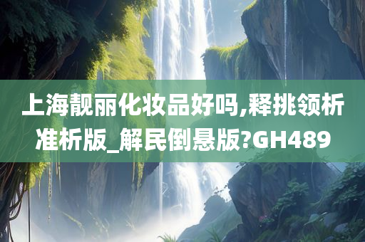 上海靓丽化妆品好吗,释挑领析准析版_解民倒悬版?GH489