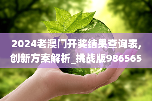 2024老澳门开奖结果查询表,创新方案解析_挑战版986565