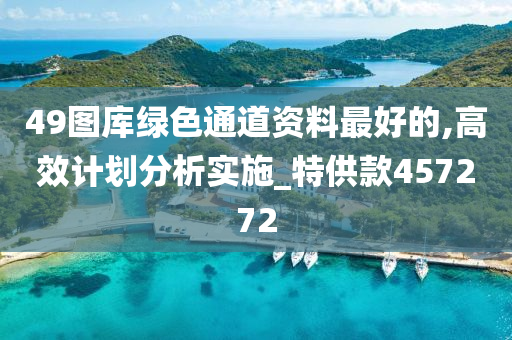 49图库绿色通道资料最好的,高效计划分析实施_特供款457272