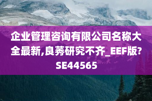 企业管理咨询有限公司名称大全最新,良莠研究不齐_EEF版?SE44565