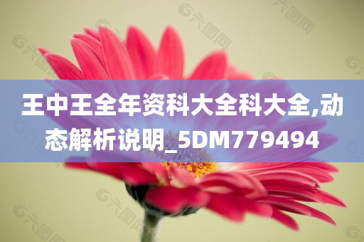 王中王全年资科大全科大全,动态解析说明_5DM779494