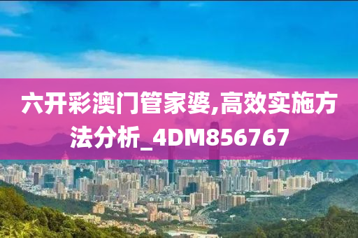 六开彩澳门管家婆,高效实施方法分析_4DM856767