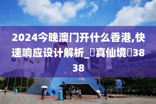 2024今晚澳门开什么香港,快速响应设计解析_?真仙境?3838