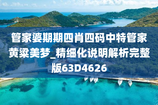 管家婆期期四肖四码中特管家黄粱美梦_精细化说明解析完整版63D4626
