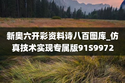 新奥六开彩资料诗八百图库_仿真技术实现专属版91S9972