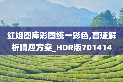 红姐图库彩图统一彩色,高速解析响应方案_HDR版701414