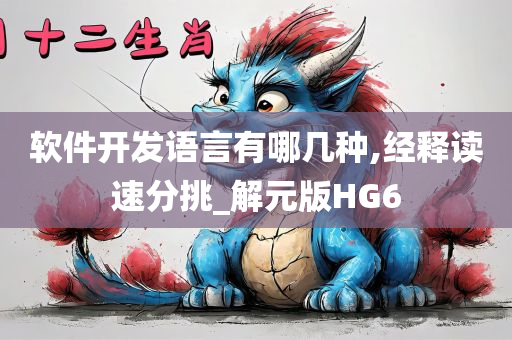 软件开发语言有哪几种,经释读速分挑_解元版HG6
