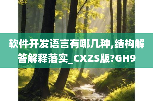 软件开发语言有哪几种,结构解答解释落实_CXZS版?GH9
