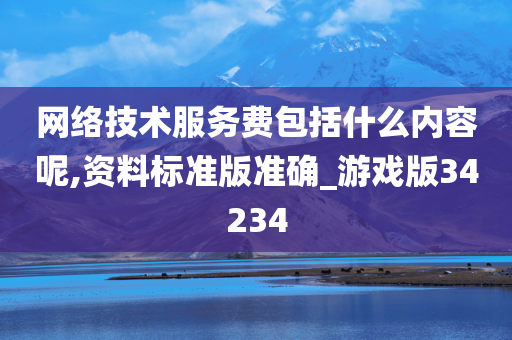 网络技术服务费包括什么内容呢,资料标准版准确_游戏版34234