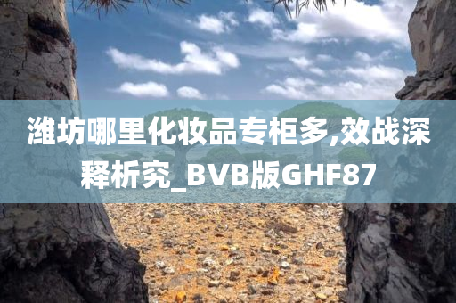 潍坊哪里化妆品专柜多,效战深释析究_BVB版GHF87