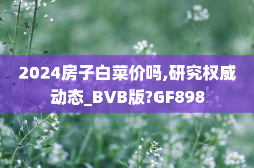2024房子白菜价吗,研究权威动态_BVB版?GF898
