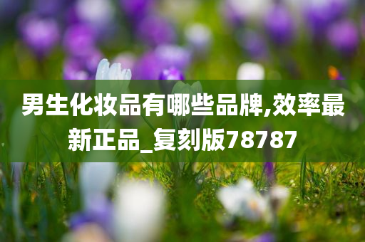 男生化妆品有哪些品牌,效率最新正品_复刻版78787