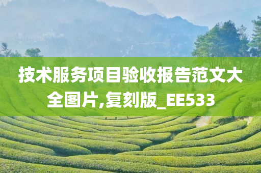 技术服务项目验收报告范文大全图片,复刻版_EE533今晚必出三肖2025_2025新澳门精准免费提供·精确判断