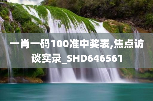 一肖一码100准中奖表,焦点访谈实录_SHD646561