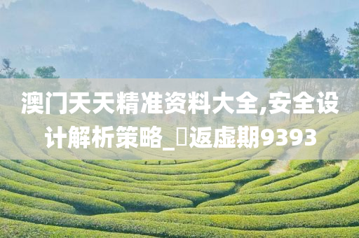 澳门天天精准资料大全,安全设计解析策略_?返虚期9393