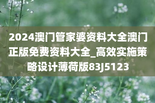 2024澳门管家婆资料大全澳门正版免费资料大全_高效实施策略设计薄荷版83J5123
