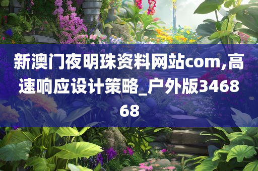新澳门夜明珠资料网站com,高速响应设计策略_户外版346868