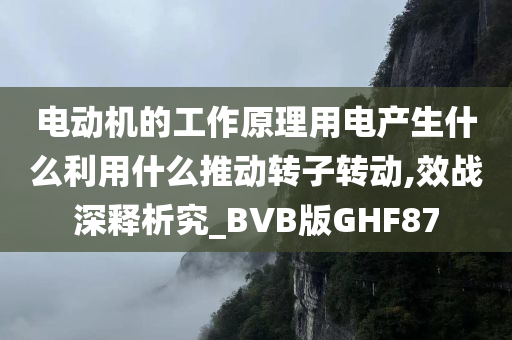电动机的工作原理用电产生什么利用什么推动转子转动,效战深释析究_BVB版GHF87
