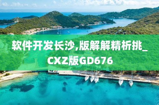 软件开发长沙,版解解精析挑_CXZ版GD676今晚必出三肖2025_2025新澳门精准免费提供·精确判断