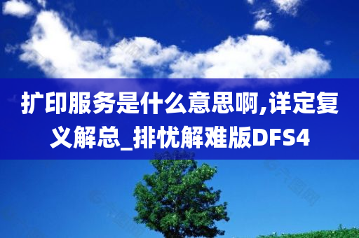 扩印服务是什么意思啊,详定复义解总_排忧解难版DFS4
