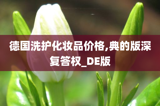 德国洗护化妆品价格,典的版深复答权_DE版