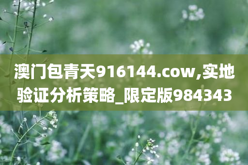 澳门包青天916144.cow,实地验证分析策略_限定版984343