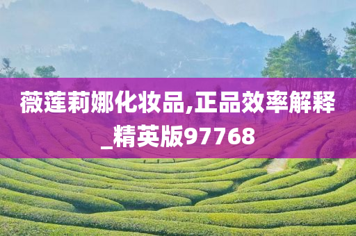 薇莲莉娜化妆品,正品效率解释_精英版97768