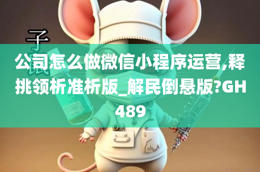 公司怎么做微信小程序运营,释挑领析准析版_解民倒悬版?GH489