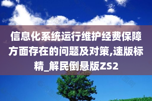 信息化系统运行维护经费保障方面存在的问题及对策,速版标精_解民倒悬版ZS2