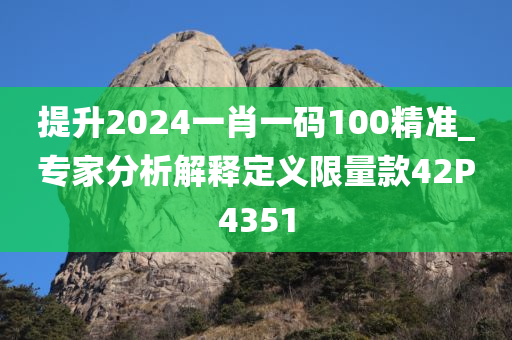 提升2024一肖一码100精准_专家分析解释定义限量款42P4351