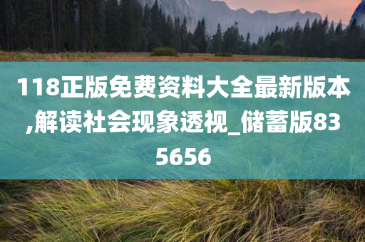 118正版免费资料大全最新版本,解读社会现象透视_储蓄版835656