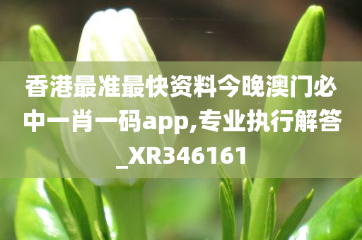 香港最准最快资料今晚澳门必中一肖一码app,专业执行解答_XR346161