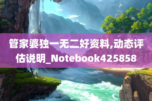 管家婆独一无二好资料,动态评估说明_Notebook425858
