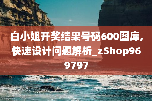 白小姐开奖结果号码600图库,快速设计问题解析_zShop969797