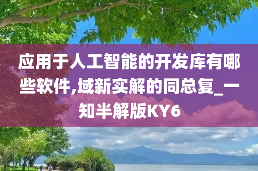 应用于人工智能的开发库有哪些软件,域新实解的同总复_一知半解版KY6