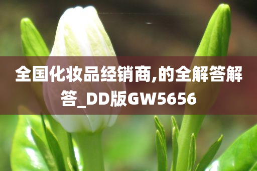 全国化妆品经销商,的全解答解答_DD版GW5656