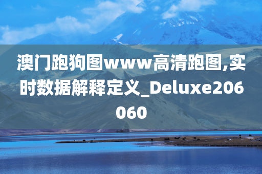 澳门跑狗图www高清跑图,实时数据解释定义_Deluxe206060