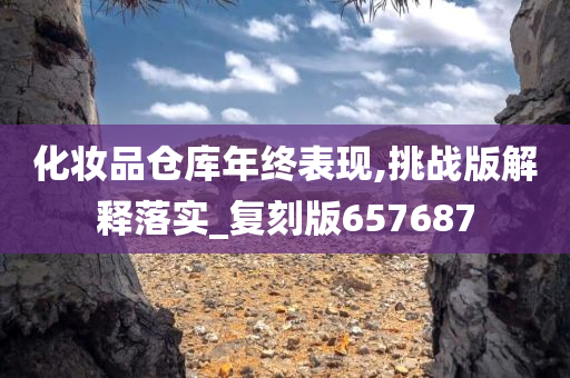 化妆品仓库年终表现,挑战版解释落实_复刻版657687